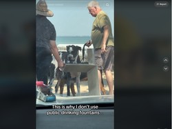 Kontroversi Anjing Minum dan Jilat Keran Air Publik, Menjijikkan atau Tidak?