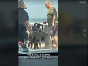 Kontroversi Anjing Minum dan Jilat Keran Air Publik, Menjijikkan atau Tidak? Kontroversi Anjing Minum dan Jilat Keran Air Publik, Menjijikkan atau Tidak?