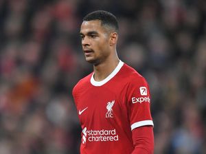 Lagi Dikritik, Gakpo Cuek Saja