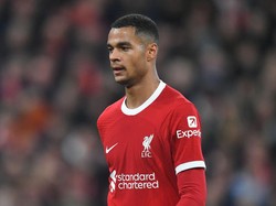 Lagi Dikritik, Gakpo Cuek Saja