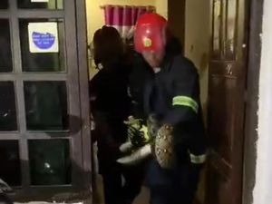 Damkar Palopo Evakuasi Ular Piton 4 Meter di Dalam Rumah Warga