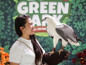 Eco Green Park: Jam Buka, Harga Tiket, Hingga Wahananya