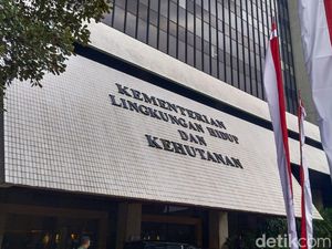 FAO Apresiasi Langkah RI Luncurkan Sistem Pemantauan Hutan Komprehensif