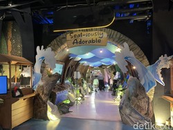 Jakarta Aquarium Punya Anjing Laut