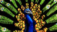 Wow! Karya Masterpiece Body Painting yang Bikin Mata Melongo