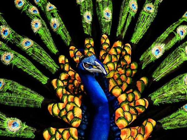 Wow! Karya Masterpiece Body Painting yang Bikin Mata Melongo