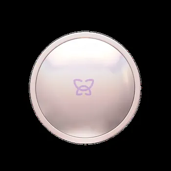 Microblur Translucent Loose Powder