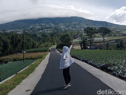 Spot Healing di Nampan, Sukomakmur, Magelang Punya Background Gunung Sumbing
