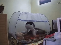 Viral Suami Pukuli Istri yang Baru Melahirkan, Bikin Geram Sekaligus Sedih