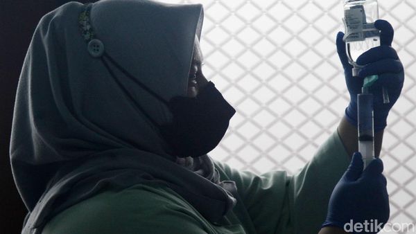 Infeksi DBD Jakarta Naik Signifikan, RS Siaga Lonjakan Kasus
