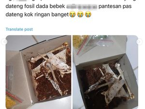 Apes! Pesan Bebek Remuk, yang Datang Malah Fosil Bebek Apes! Pesan Bebek Remuk, yang Datang Malah Fosil Bebek