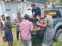 Pemotor Tewas Tersambar KA Sri Tanjung di Jember, Teman Selamat Usai Loncat