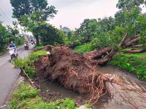 Angin Kencang Terjang Jombang Rusak Rumah Warga-Ambleskan Bahu Jalan Angin Kencang Terjang Jombang Rusak Rumah Warga-Ambleskan Bahu Jalan