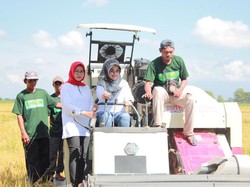 Panen Raya Perdana di Trucuk, Bupati: Alhamdulillah Klaten Surplus Beras