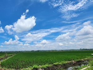 Optimalisasi Lahan di Lampung, Kementan-TNI Terjun ke Lapangan Tiap Hari Optimalisasi Lahan di Lampung, Kementan-TNI Terjun ke Lapangan Tiap Hari