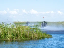 Terpopuler: Kota bak Surga bagi Pemburu Piton, Gaji Gede