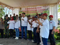 Hadiri Panen Raya di Trucuk, Bupati Klaten Berikan Pompa Air-Pupuk Organik