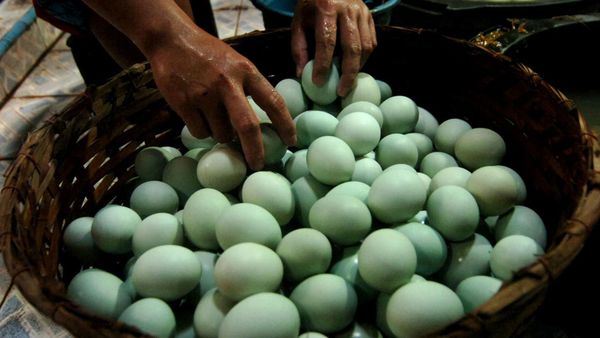 Produksi Telur Asin Selama Ramadan Kian Meningkat