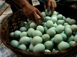 Mengenal Brebes, Asal 100 Ribu Telor Asin untuk Korban Bencana Sumatera