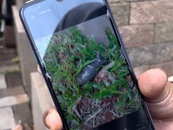 Diduga Selongsong Ditemukan Lagi di Sekitar TKP Ledakan Gudang Munisi