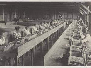 Kala Kopi Picu Meletusnya Perang di Cirebon