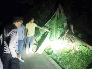Siswa SD Purbalingga Tewas Tersambar Petir Saat Bermain di Sawah Siswa SD Purbalingga Tewas Tersambar Petir Saat Bermain di Sawah