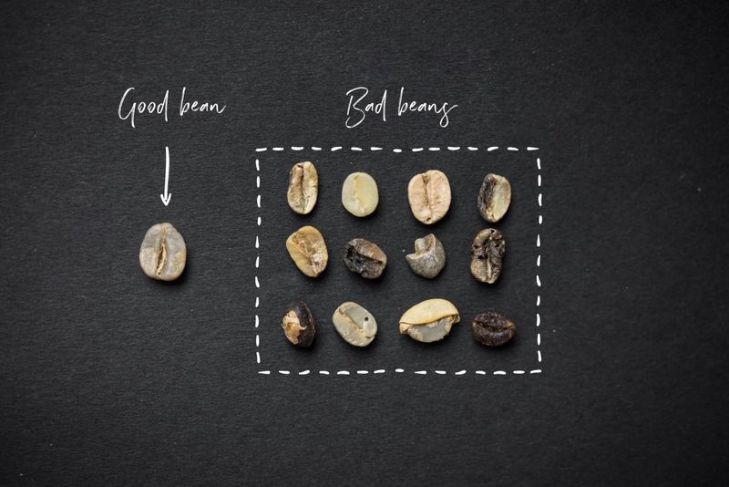 Ini 5 Penyebab Racikan Kopi di Rumah Tak Seenak Buatan Kafe