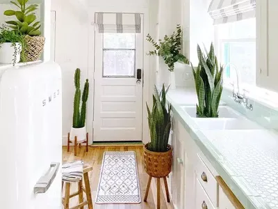 Inspirasi Karpet di Depan Pintu Masuk Biar Rumah Makin Cantik