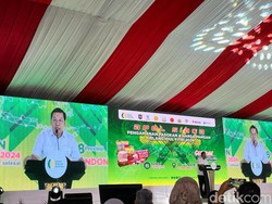 Kepala Bapanas Mau Bahas Harga Gabah, Bakal Naik atau Turun?