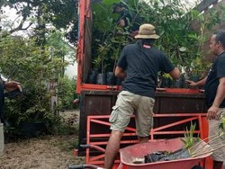 Kisah Komunitas Resan Gunungkidul Punya 13 Tempat Pembibitan-Penyemaian Mandiri