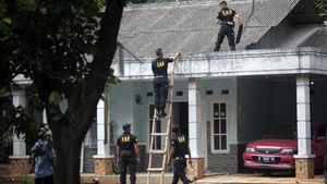 Momen Penyisiran Serpihan Amunisi Pascakebakaran Gudang Peluru