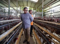 Jurus Pj Wali Kota Batu Tekan Lonjakan Harga Telur
