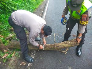 Pemuda Tewas Tertimpa Pohon Saat Pulang Sembahyang dari Pura Besakih Pemuda Tewas Tertimpa Pohon Saat Pulang Sembahyang dari Pura Besakih