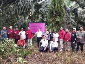Jaksa Sita Kebun Sawit 0,49 Hektare Milik Terpidana Jono Pinem di Kalbar Jaksa Sita Kebun Sawit 0,49 Hektare Milik Terpidana Jono Pinem di Kalbar