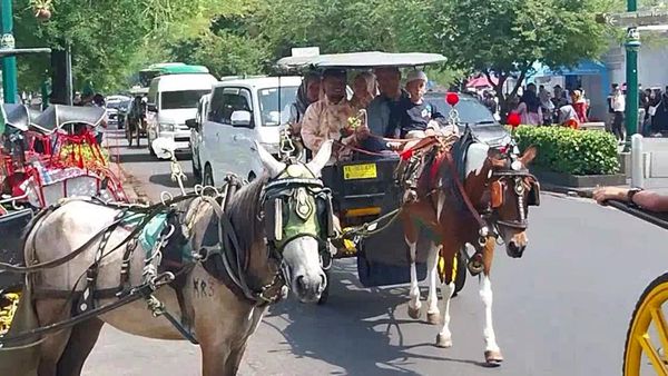 Okupansi Hostel di Pusat Kota Yogyakarta Capai 90 Persen
