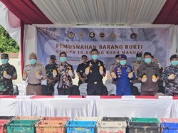 Bea Cukai Musnahkan 19 Ton Mangga Impor Ilegal, Bikin Rugi Negara