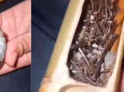 Aneh! Viral Ummu Temukan Paku Berkarat di Lemang Buatannya