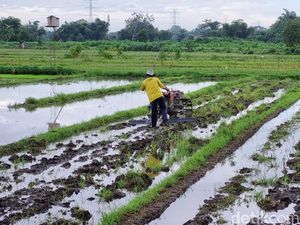 KUA Diluncurkan! Bunga 3%, Jangan Waktu Pinjaman 5 Tahun KUA Diluncurkan! Bunga 3%, Jangan Waktu Pinjaman 5 Tahun