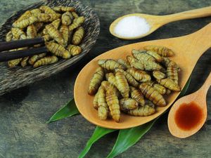 10 Makanan Jepang Paling Unik, Ada Olahan Ikan Fugu sampai Ulat! 10 Makanan Jepang Paling Unik, Ada Olahan Ikan Fugu sampai Ulat!