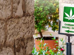 Bagaimana Aturan Konsumsi Ganja di Jerman?