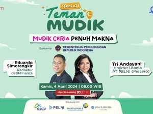 Mudik di Depan Mata, Gimana Pelni Siapkan Angkutan Lebaran 2024?