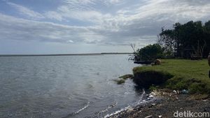 Menyusuri Ekowisata Mangrove di Pantai Baros