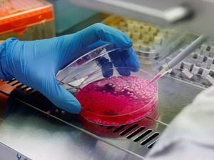Jumlah Peneliti di RI Masih Kurang, Kampus Didorong Buka Prodi STEM Jumlah Peneliti di RI Masih Kurang, Kampus Didorong Buka Prodi STEM