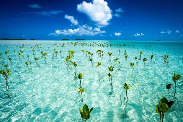 8 Pulau 'Rahasia' Terindah di Dunia yang Jarang Terjamah