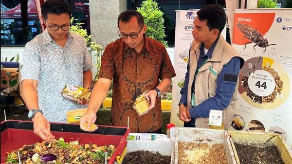 Ubah Sampah Menjadi Peluang Bisnis Melalui Maggot