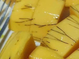 Bikin Netizen Kaget! Ini Fakta Temuan Benang Hitam di Buah Mangga Bikin Netizen Kaget! Ini Fakta Temuan Benang Hitam di Buah Mangga