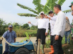 Tinjau Area Pompanisasi di Subang, Mentan Harap Produksi Padi Meningkat