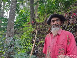 Raih Penghargaan detikjateng-jogja Awards, Mbah Sadiman: Karena Kerja Keras Raih Penghargaan detikjateng-jogja Awards, Mbah Sadiman: Karena Kerja Keras