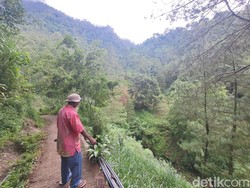 Dihijaukan Mbah Sadiman Seorang Diri, Begini Kondisi Terkini Bukit Gendol