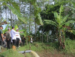 Tinjau Area Pompanisasi di Subang, Mentan Harap Produksi Padi Meningkat